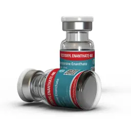 buy Testoxyl Enanthate 400 Kalpa Pharmaceuticals LTD, India
